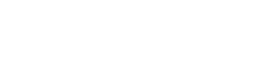 Limitless VIP Limo & Car Service